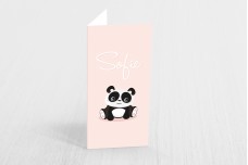 Lieve pandabeer